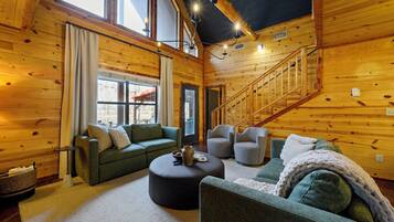 TV connectée, cheminée, livres, vidéothèque