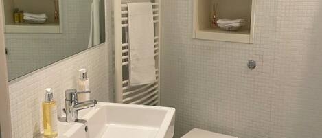 Hair dryer, towels, soap, toilet paper