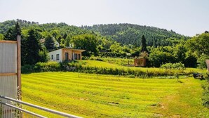 Ett lantligt landskap med ett hus omgivet av frodig grönska och en kuperad bakgrund.