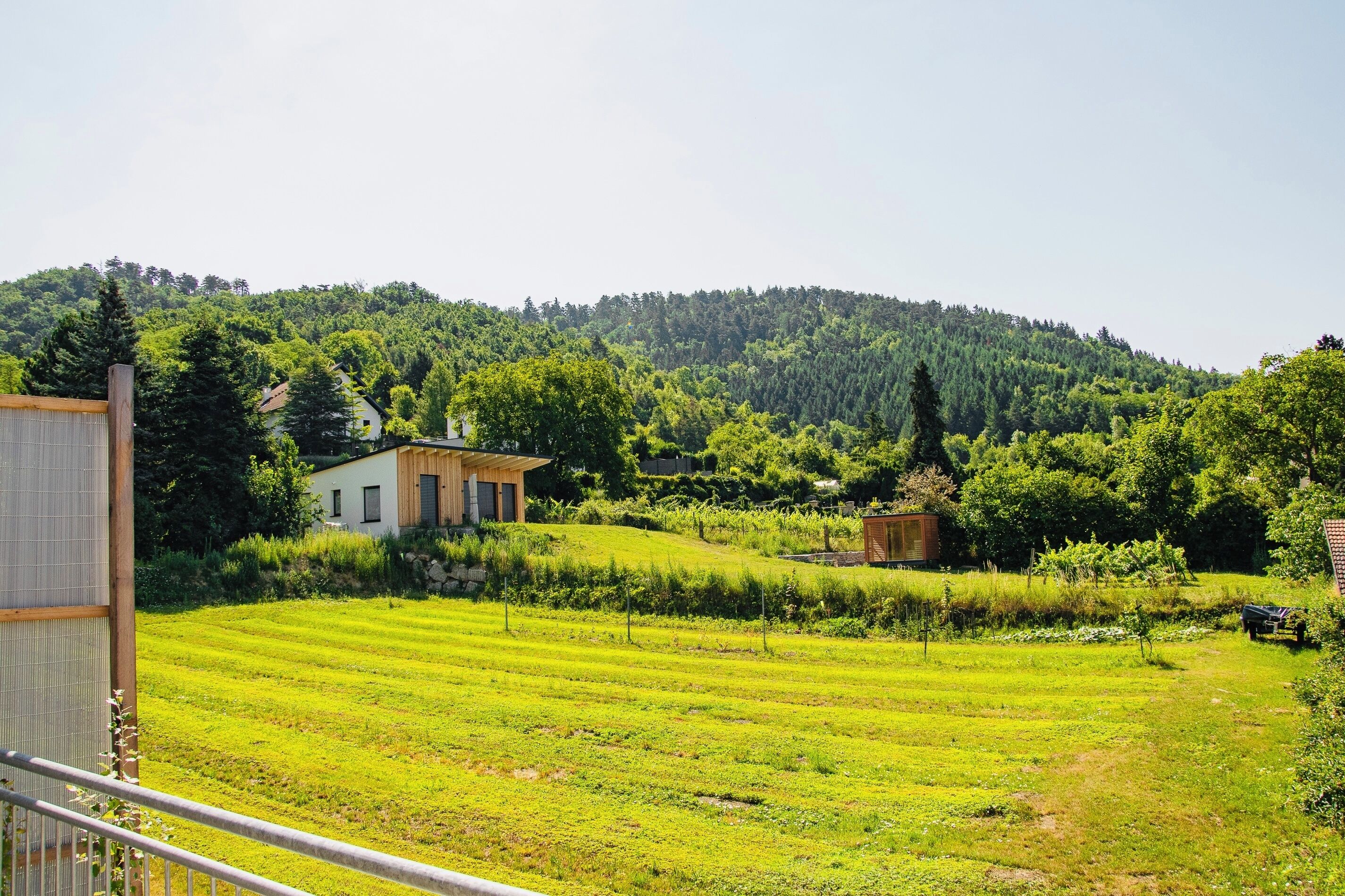 Ländliche Landschaft mit einem Haus, einem Feld und einem bewaldeten Hügel.
