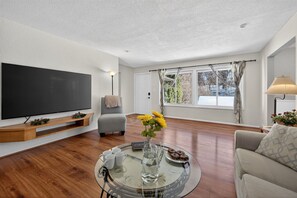 Televisión, chimenea y libros 