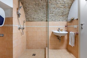 Regadera, secadora de cabello, bidet, toallas