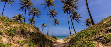 Talo | 4 makuuhuonetta