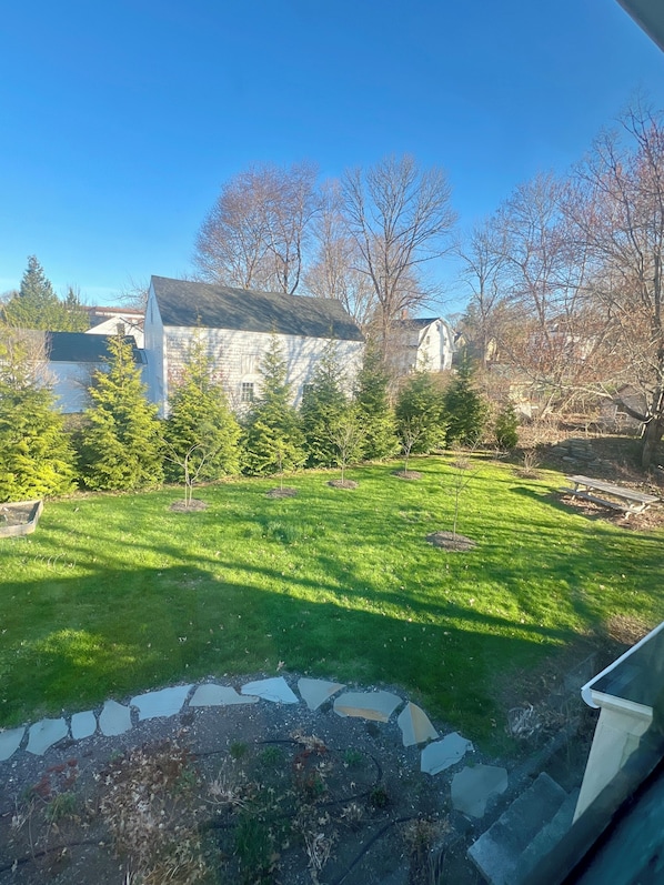 A stone pathway leading to a grassy yard with trees and a building in the background.