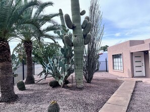Property grounds - Newly Renovated Midtown 2BR Duplex Charmer (Tucson)