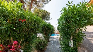 Un sendero de piedra conduce a una piscina rodeada de abundante vegetación y un muro de piedra.