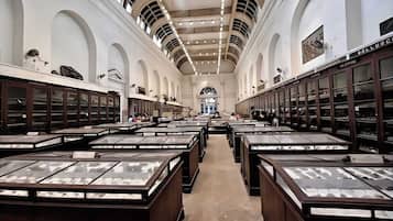 Children's activities