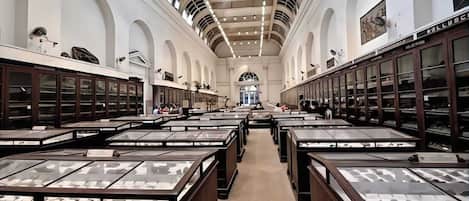 Children's activities