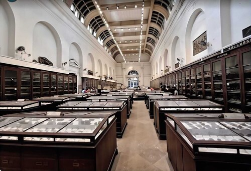 サバ ゲストハウス