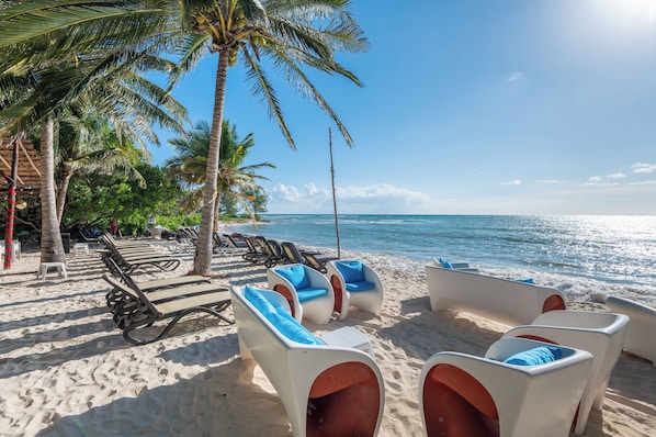 Plage à proximité, sable blanc, chaises longues, parasols