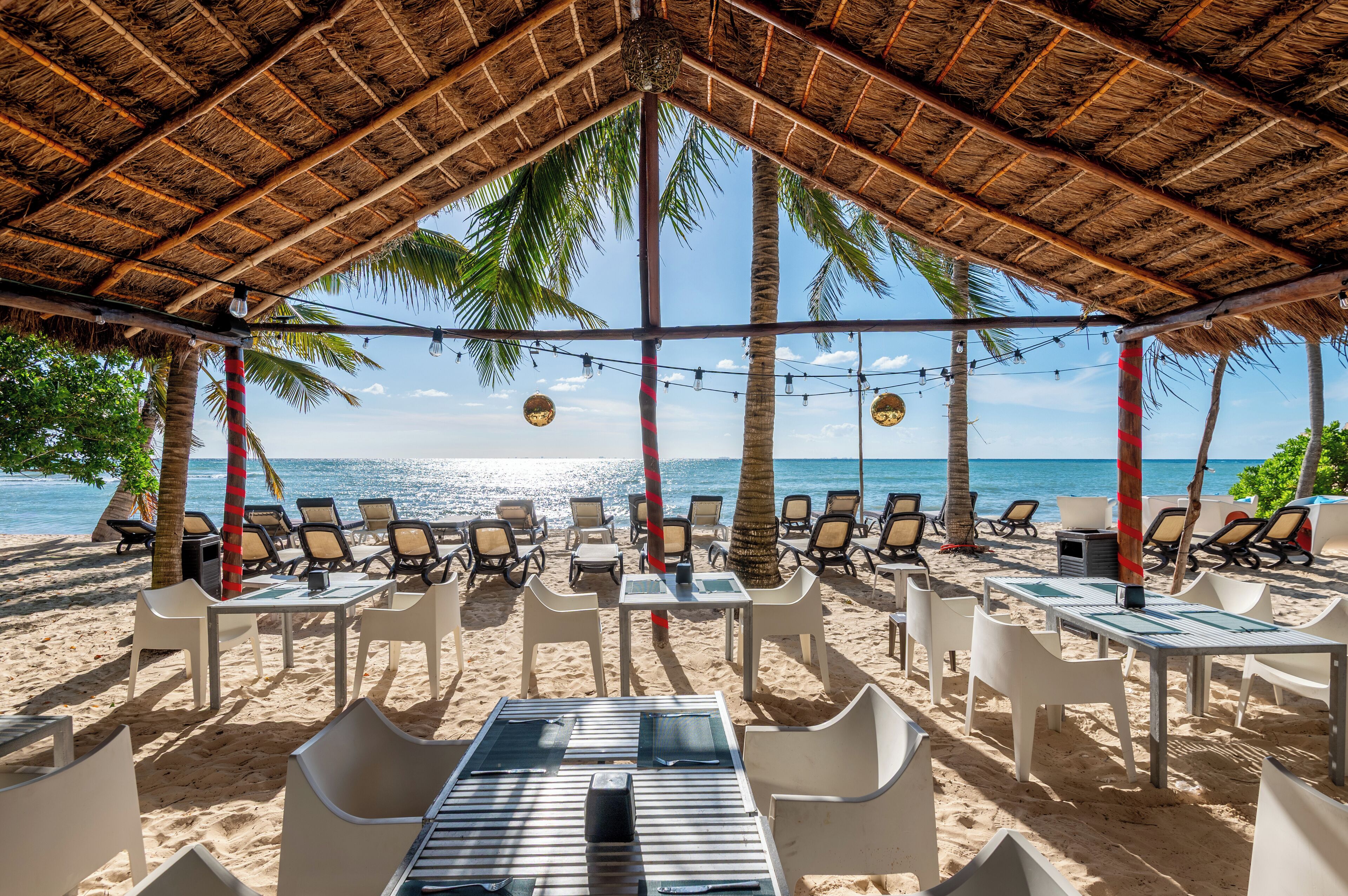 A beachside restaurant with outdoor seating, palm trees, and a view of the ocean.