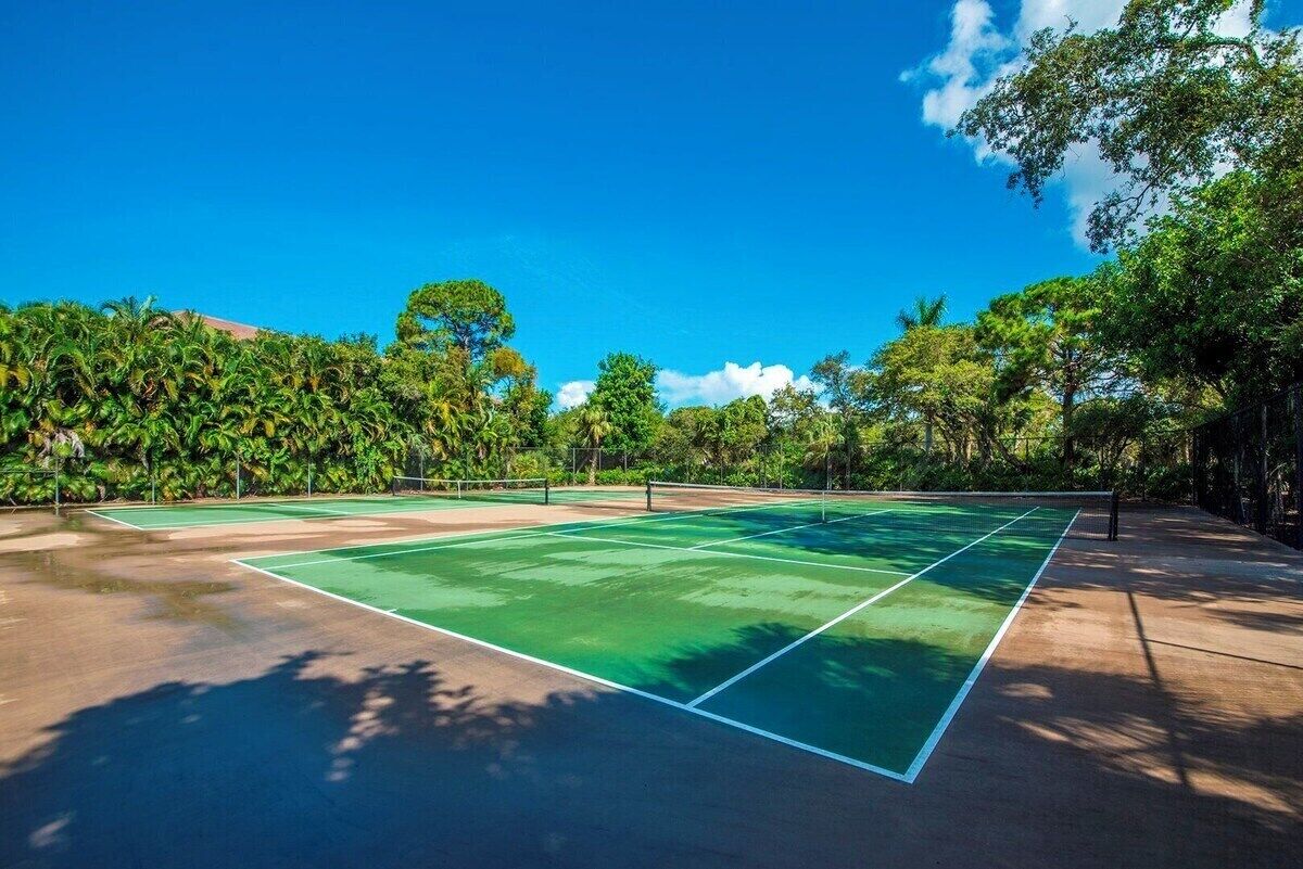 Una cancha de tenis al aire libre rodeada de vegetación exuberante y árboles.