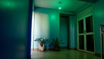 Un pasillo con techo iluminado en verde, una planta en maceta y una puerta con paneles de vidrio.