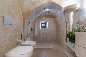 Regadera, secadora de cabello, bidet, toallas 