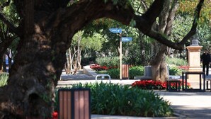 A park with a stone bench, a trash bin, and a pathway. - Hotel Morelia Nova (Morelia)