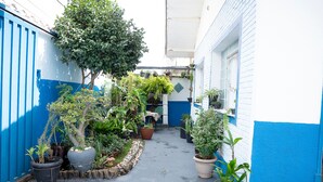 Un patio estrecho con macetas y un árbol, rodeado de muros azul y blanco.