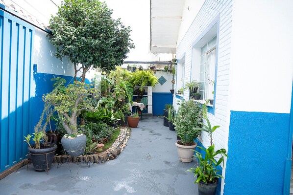 A narrow courtyard with potted plants and a tree, surrounded by blue and white walls. - Casa Pet Friendly c 3 Quartos e Garagem no Jardim (Poços de Caldas)