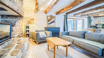 Televisión, chimenea, libros