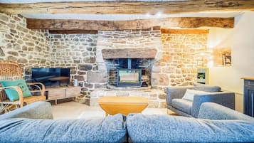 Télévision, cheminée, livres