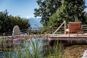 Property grounds - Chalet Mountain with Mountain Views, Sauna, Hot Tub and Wi-Fi (Mühlbach)