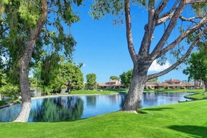 Property grounds - Remodeled Home|Fireplace|AC|Resort Amenities (Rancho Mirage)