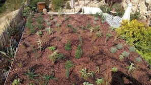Ein Garten mit Erdwegen, einer hölzernen Bank und einer Steinmauer.
