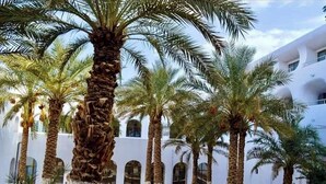 A courtyard with palm trees and a white building with arched windows. - Mzab Hotel (Ghardaïa)