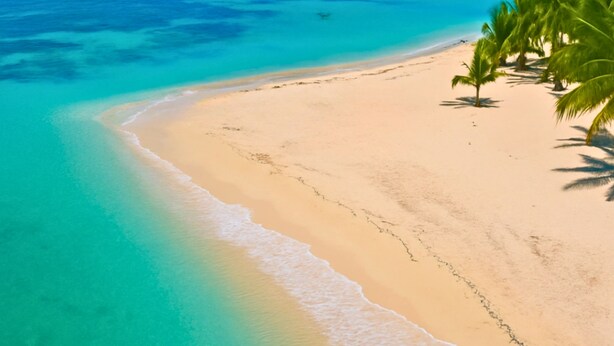 Een strand met helder turquoise water, een zandstrand en palmbomen.