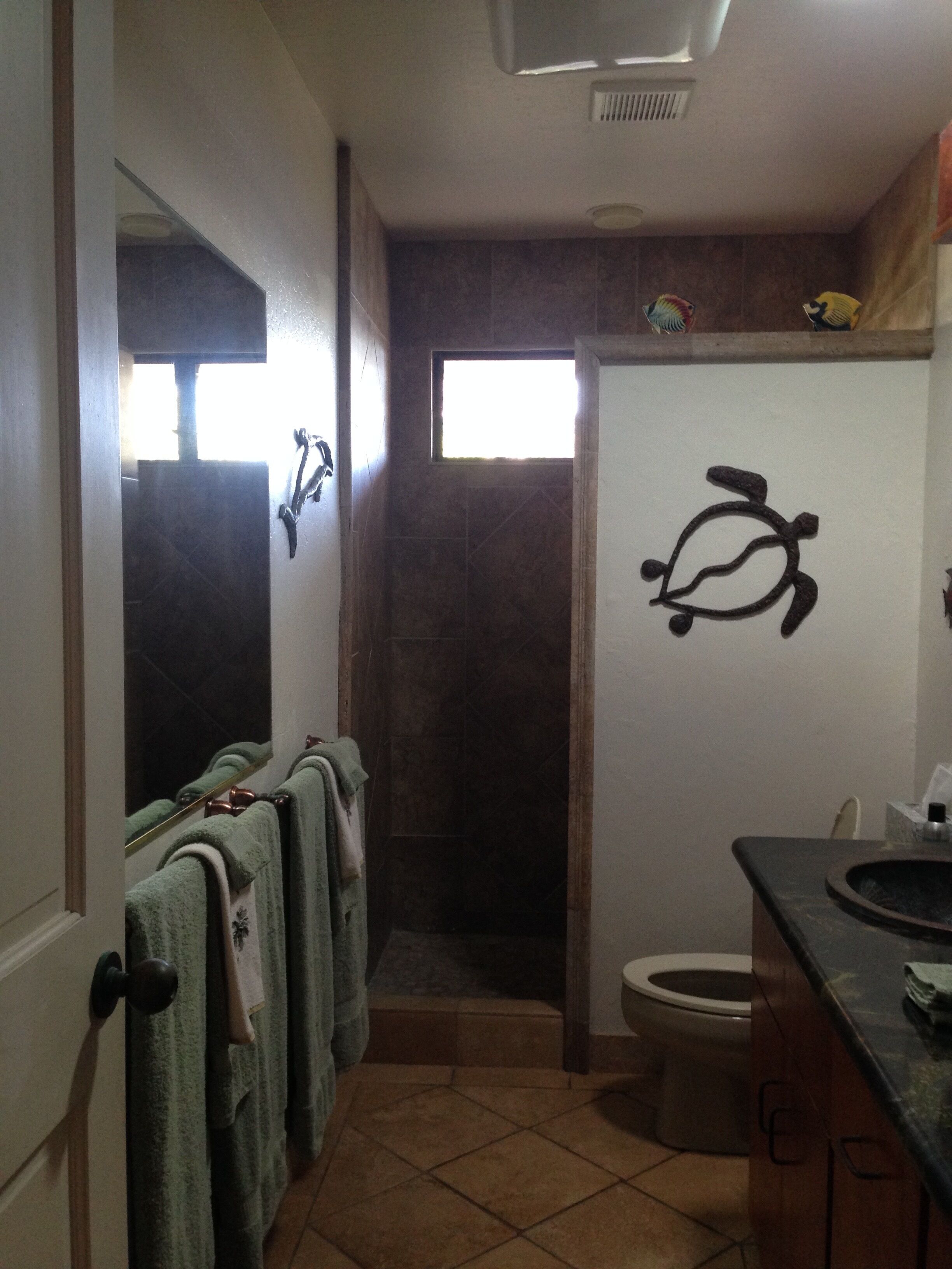 Shower, hair dryer, bidet, towels