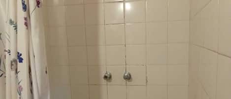 Serviettes fournies, papier de toilette