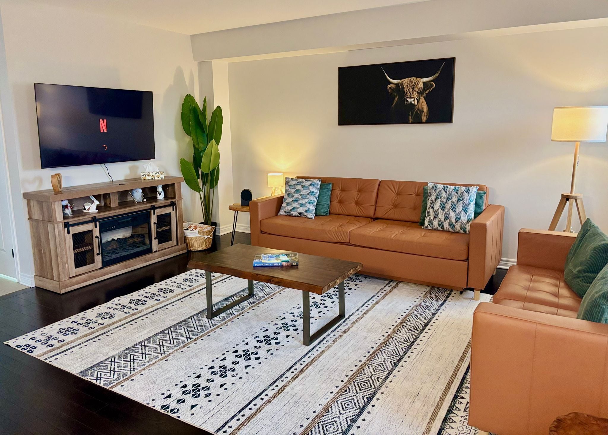 Smart TV, fireplace, books