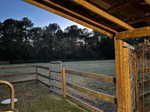 Property grounds - The Workshop Cabin (Crosby)