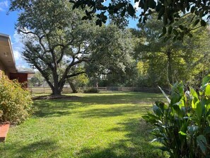 Property grounds - The Workshop Cabin (Crosby)