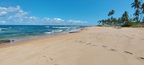 Nära stranden