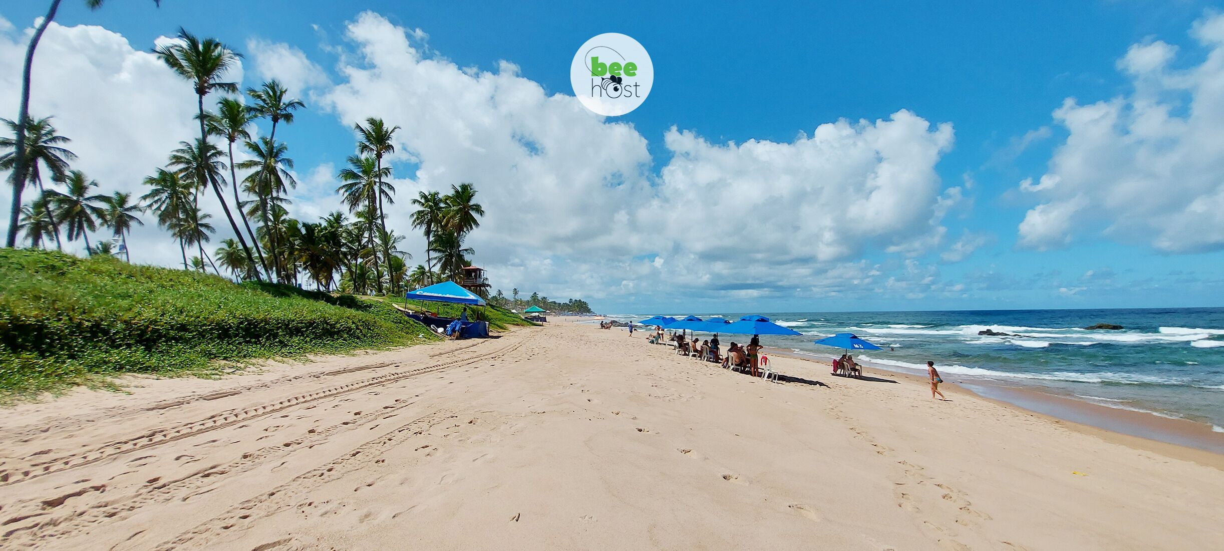 A beach with palm trees, a sandy shore, and a blue umbrella.