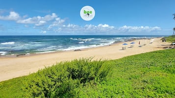 Appartamento Basic | Spiaggia | Una spiaggia nelle vicinanze