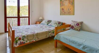 Villa Marković 2 - One bedroom apartment (Šumički)