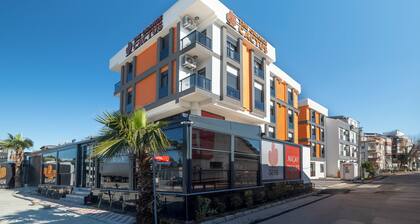 The Orange Cactus