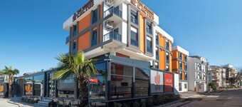 The Orange Cactus