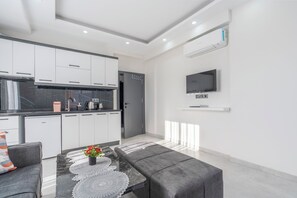 Leilighet – deluxe | Eget kjøkken | Kjøleskap, kokeplater og kjøkkenutstyr