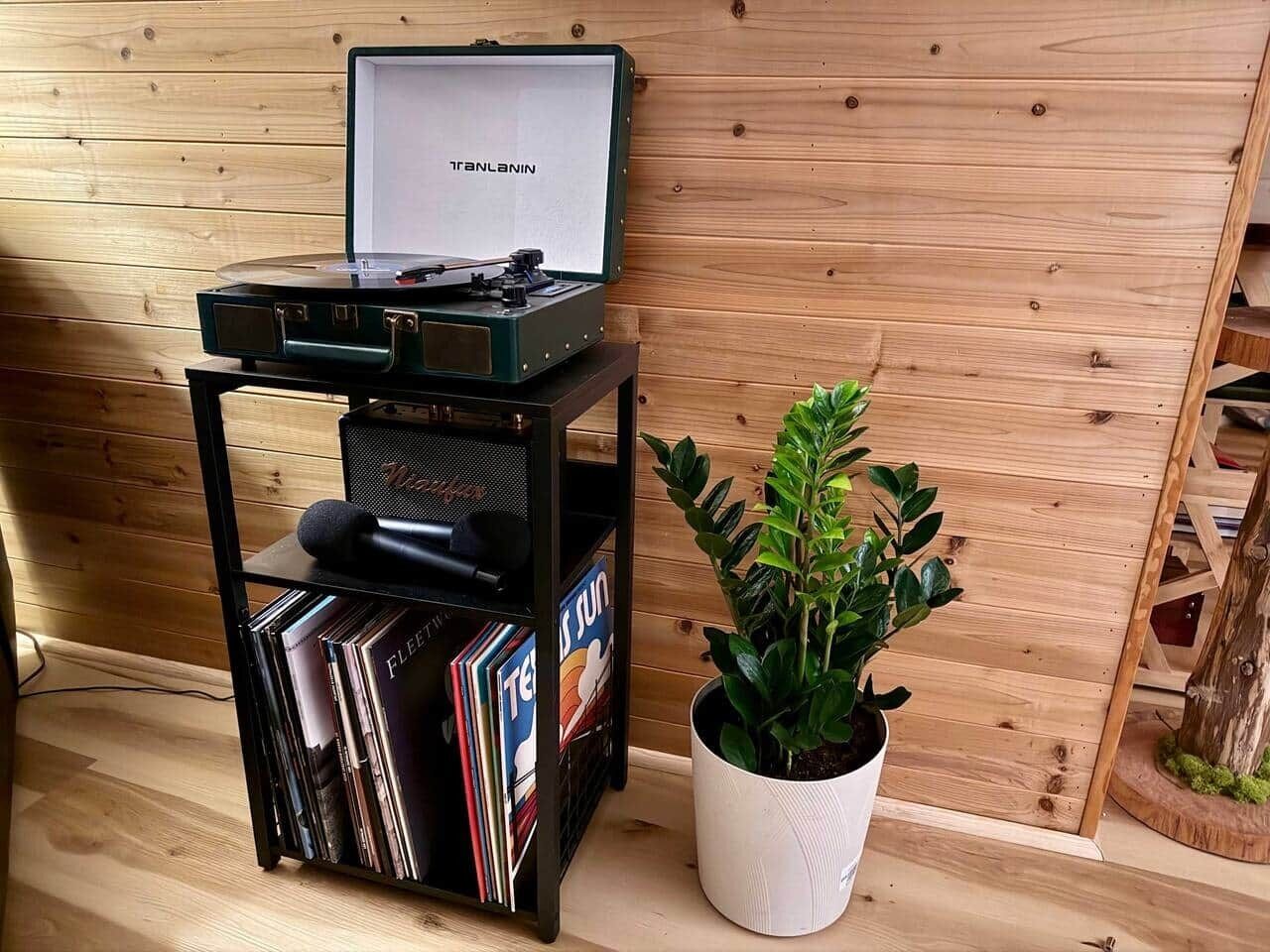 Eine Holzwand, ein schwarzes Regal mit Plattenspieler und Schallplatten, sowie ein Blumentopf.