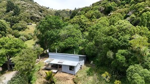Une petite maison moderne, entourée d’une forêt dense.