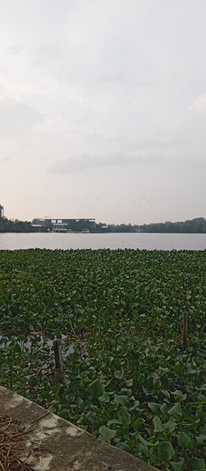 Front of property - Amani Lakeside (Panadura)