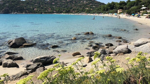 A beach with clear water, rocks, and greenery. - Seaview villa, design, comfort and privacy, pool, sandy, white beach 5 min walk (Sardegna)