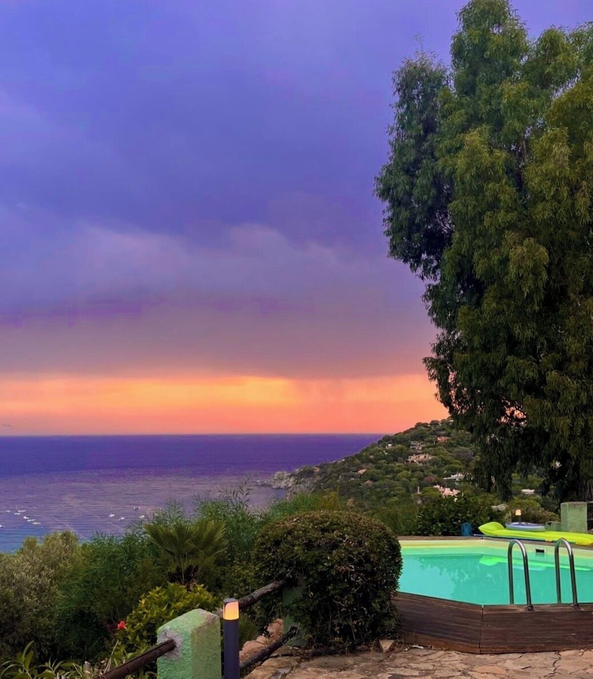 Imagen de perfil del propietario o de la propietaria