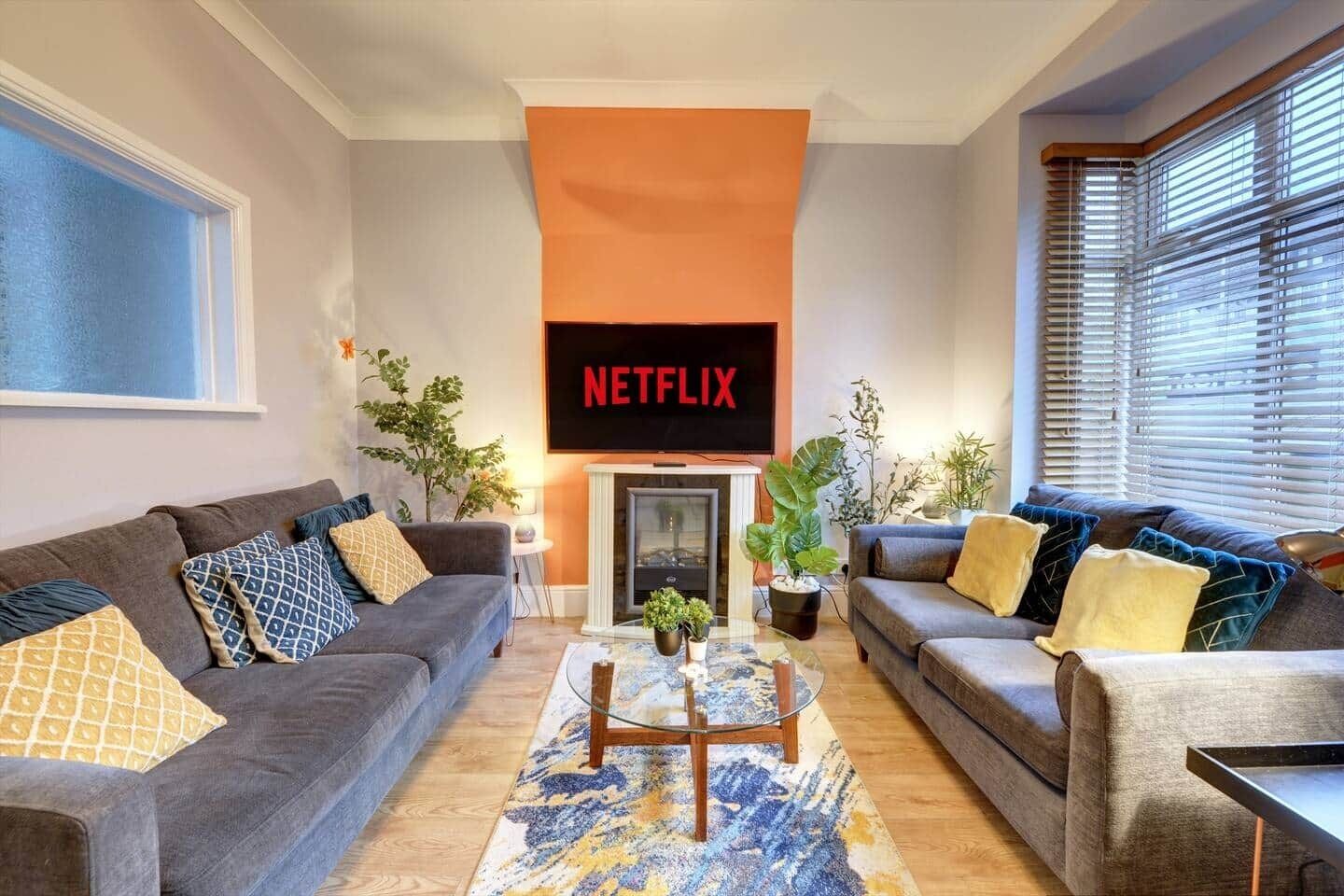 TV