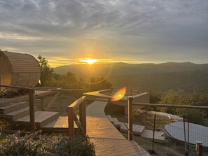 Terras