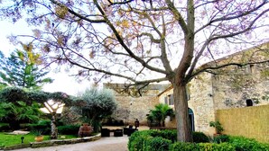 Une cour avec un chemin de gravier, des murs en pierre et un grand arbre aux fleurs violettes.