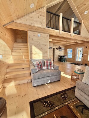 TV connectée, cheminée, livres, chaîne hi-fi