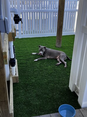 A dog lying on artificial grass in a fenced backyard with a white fence and wooden posts. - Topsail Beach Sunsets, Water views, Pool/Hot tub (N. Topsail Beach)